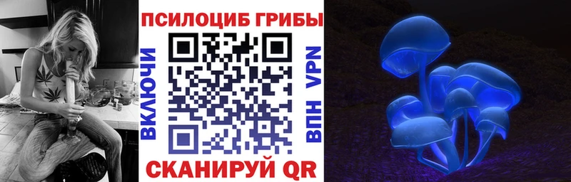 купить  цена  blacksprut вход  Псилоцибиновые грибы GOLDEN TEACHER  Волхов 